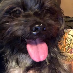 Meet your Posher, Maggie